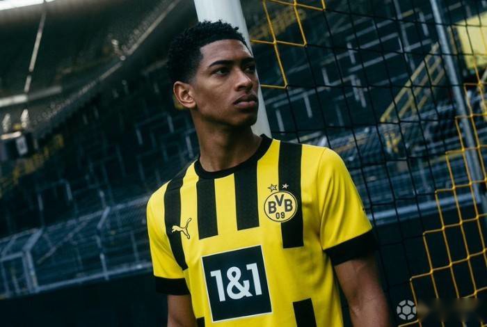 仅增减DL 仅增减DL